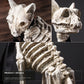 Skeleton Dog Dinosaur Fossil Ornament, Halloween Resin Decoration