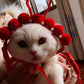 Funny Photo Headgear for Dogs, Concave Shape Pet Hat in Chinese-Style Design