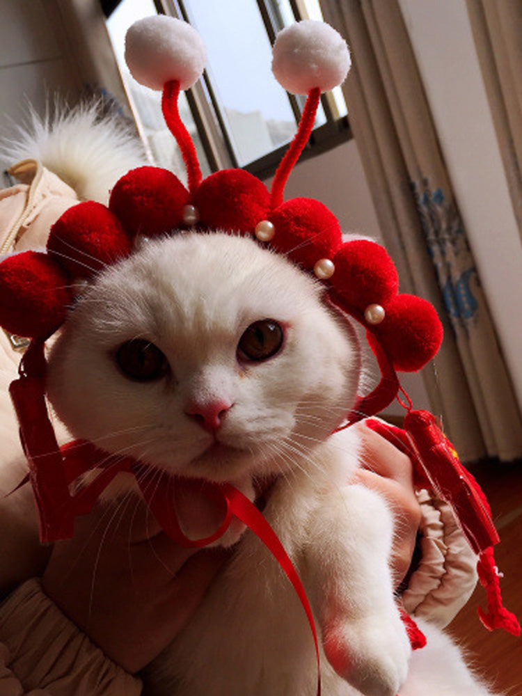 Funny Photo Headgear for Dogs, Concave Shape Pet Hat in Chinese-Style Design