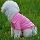 Pet Clothes, Solid Color Dog Polo Shirt with Lapel | Casual Puppy Cotton T-Shirt
