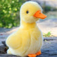 Simulation Plush Small Yellow Duck Doll – Cute 17cm Stuffed Toy for Kids