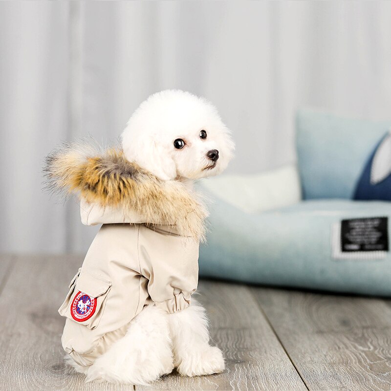 Cozy Pet Dog Outfit with Wool Hat, Warm Polyester & Cotton Clothing Set for Winter