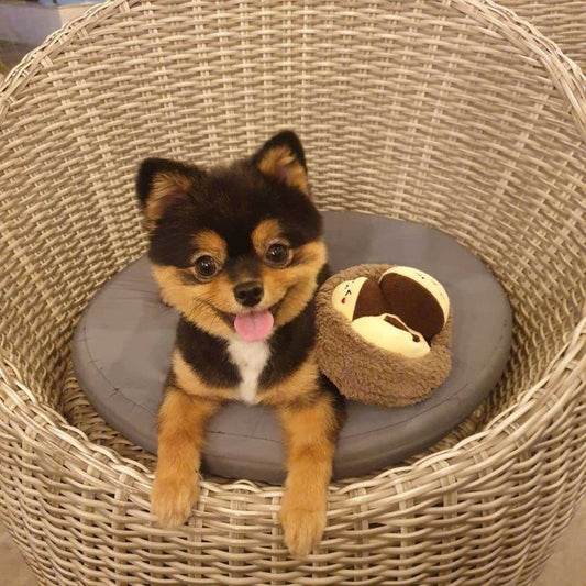 Dog Simulated Cake Toy, Plush Sounding Pet Snack Toy (Triplets Chestnut Set)