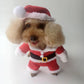 Santa Claus Turned Into a Cat and Dog Costume, Christmas Pet Transformation Outfit