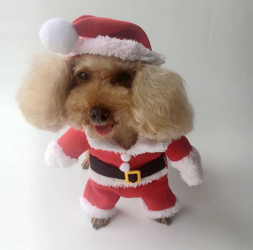 Santa Claus Turned Into a Cat and Dog Costume, Christmas Pet Transformation Outfit