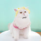 Adjustable Sun-Shade Bucket Hat for Pets, Anti-Off Sun Protection Hat for Dogs & Cats