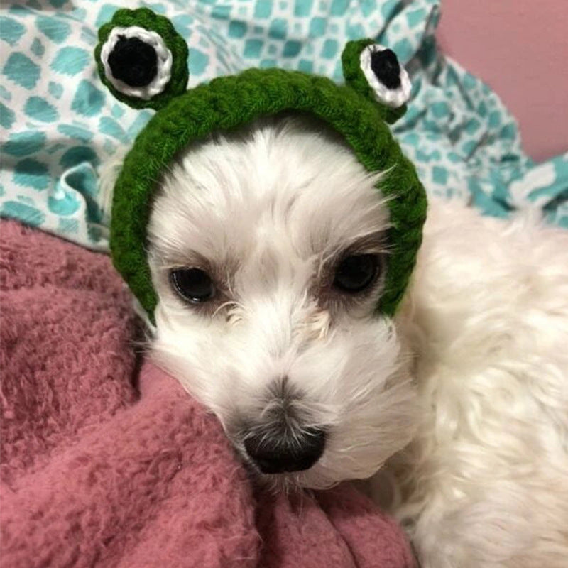 Photo-Ready Fun: Knitted Wool Cartoon Frog Pullover Pet Hat (General Purpose).