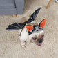 Halloween Ghost Festival Pet Costume, Dog & Cat Personality Hat with Bat Wings (S–L)