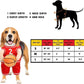 Pet Costumes, Dog Basketball Player Costume for Halloween, Sports Cosplay & Funny Dress-Up