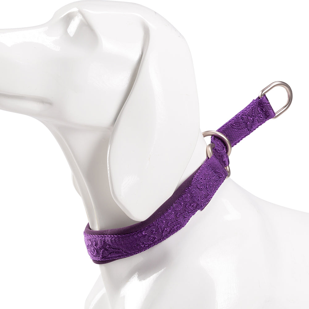 Fashion Personality P-Chain Walking Dog Neck Ring, Durable Nylon Collar with Aluminum Alloy Hardware (2XS–3XL)