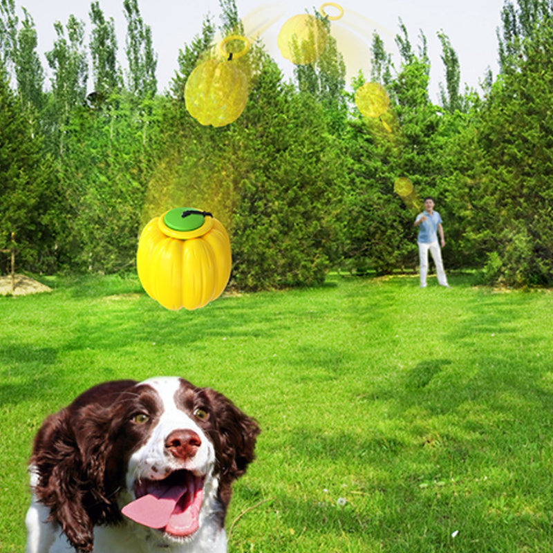 Halloween Pumpkin Squeaky Dog Toy, Chew & Training Ball for Small Dogs and Puppies