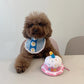 Cute Birthday Cake Hat for Pets, Plush Creative Dog & Cat Hat with Chew-Friendly Design
