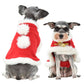 Pet Transformation Costume, Hat, Headgear, Scarf & Cloak Accessory for Cats & Dogs