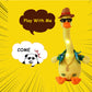 New Repetition Duck Plush Toy – Net Celebrity Sand Sculpture Talking Duck (25 cm)