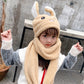 Sweet & Cute Bunny Ear Hat, Embroidered Winter Baotou / Turban Style Cap