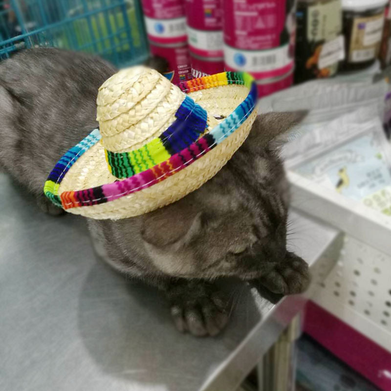 Mexican-Style Straw Pet Hat, Woven Sun Hat for Dogs & Cats with Unique Pattern Design