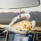 Sleeping Dog Angel Car Pendant, Acrylic Hanging Ornament for Cars, Doors & Home Decor