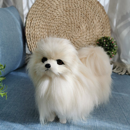 Lifelike Loyalty: Simulation Pomeranian Dog Plush Doll ($\mathbf{22\text{cm}}$ Leather Wool).