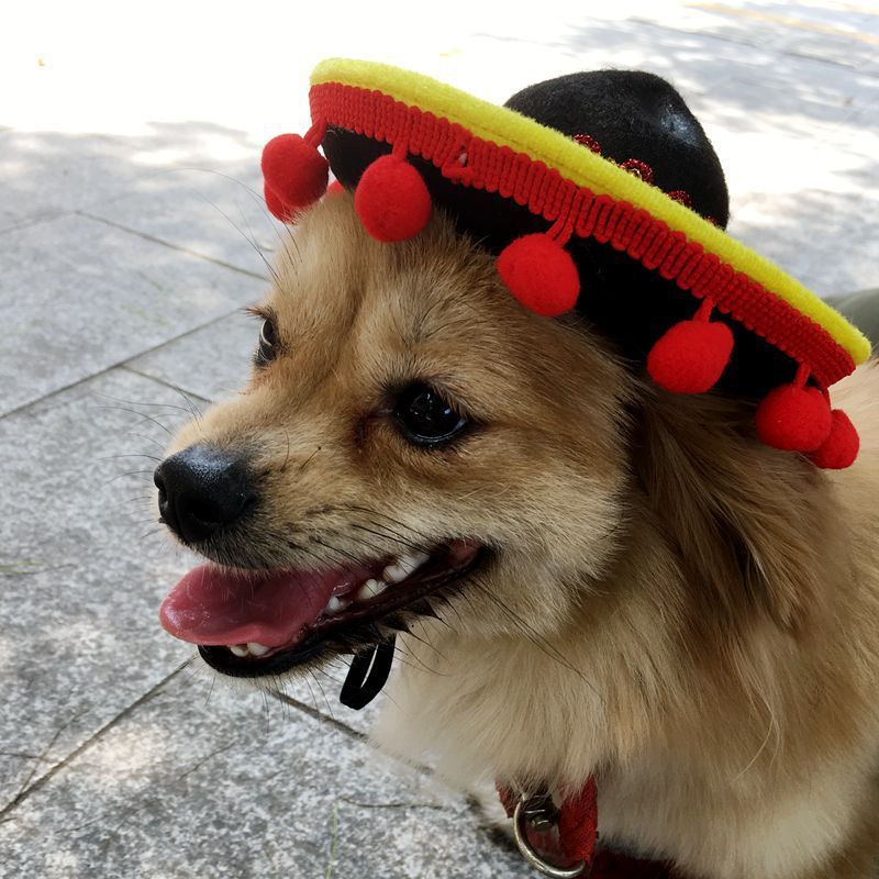 Mexican-Style Pet Hat, Festive Dog & Cat Sombrero (Red Ball / Brown Lace)