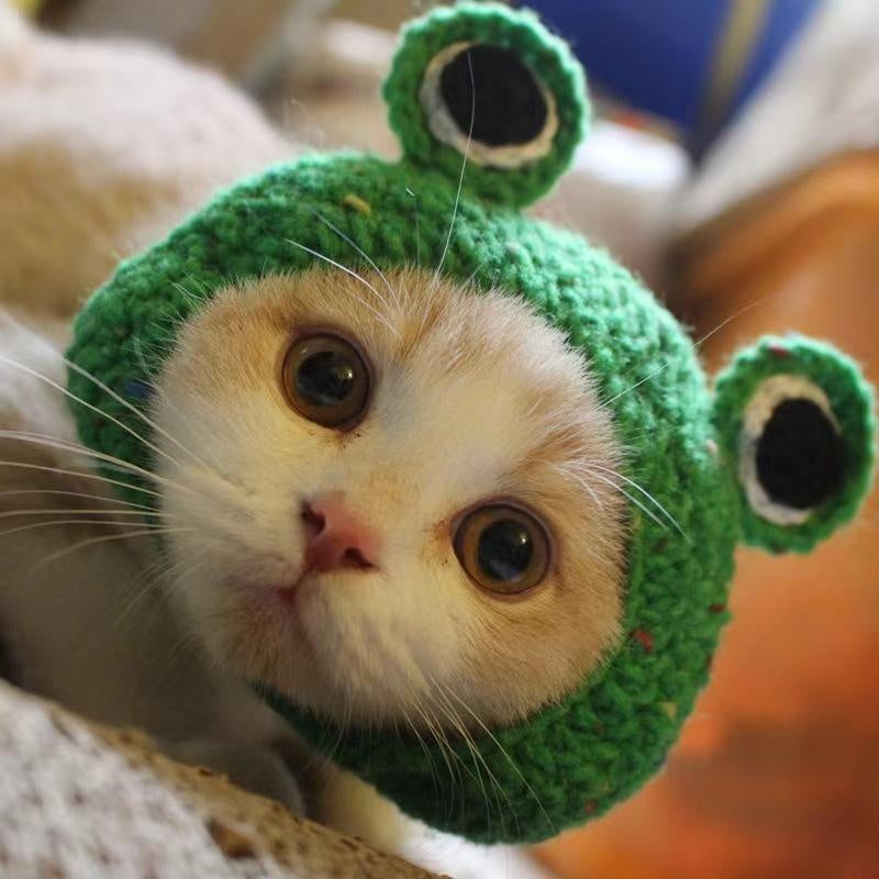 Hand-Crocheted Pet Knitted Hat, Funny INS-Style Wool Headgear for Cats & Dogs