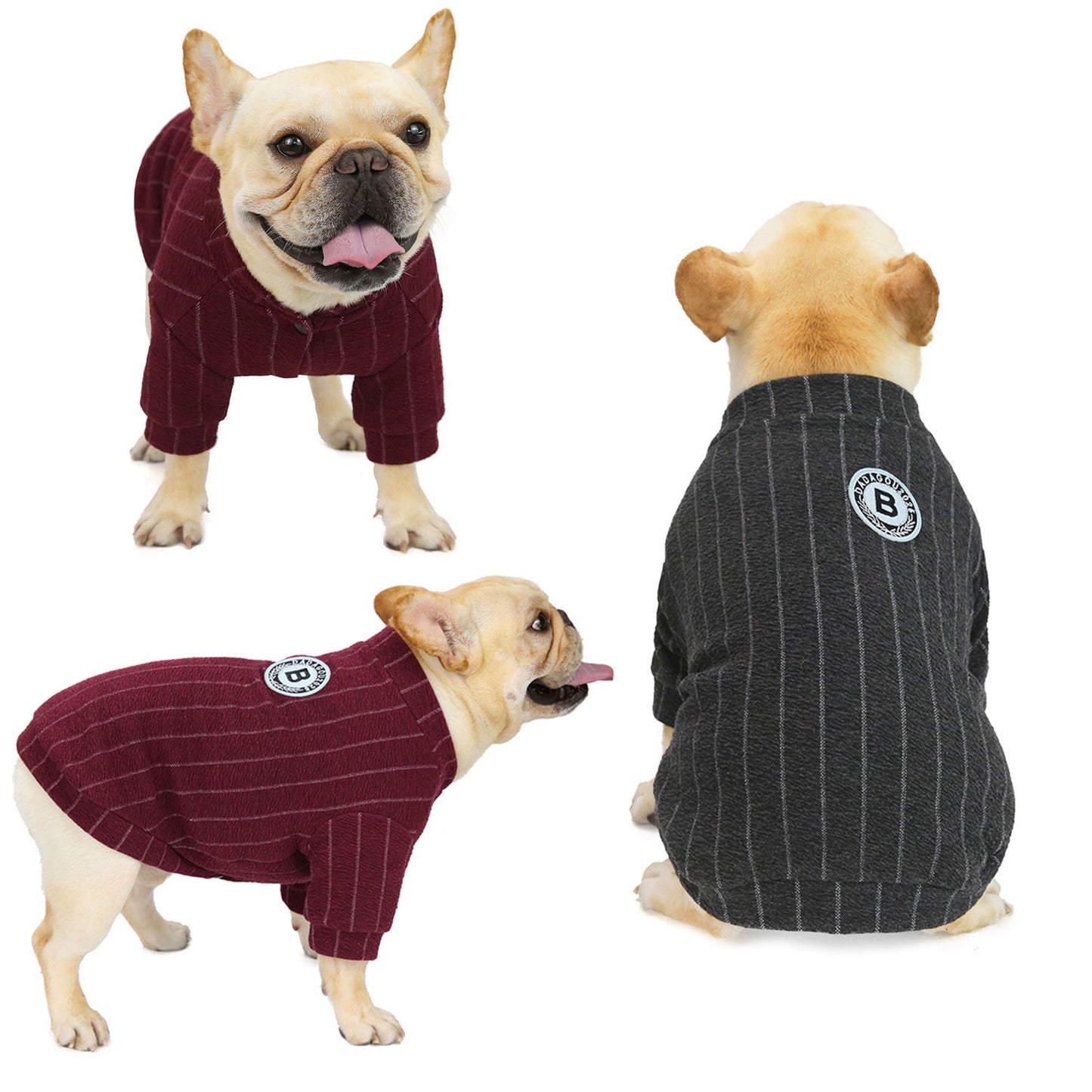 Dog Clothes for Small Dogs, Winter French Bulldog Baseball Coat | Chihuahua Puppy Sport Hoodie Jacket