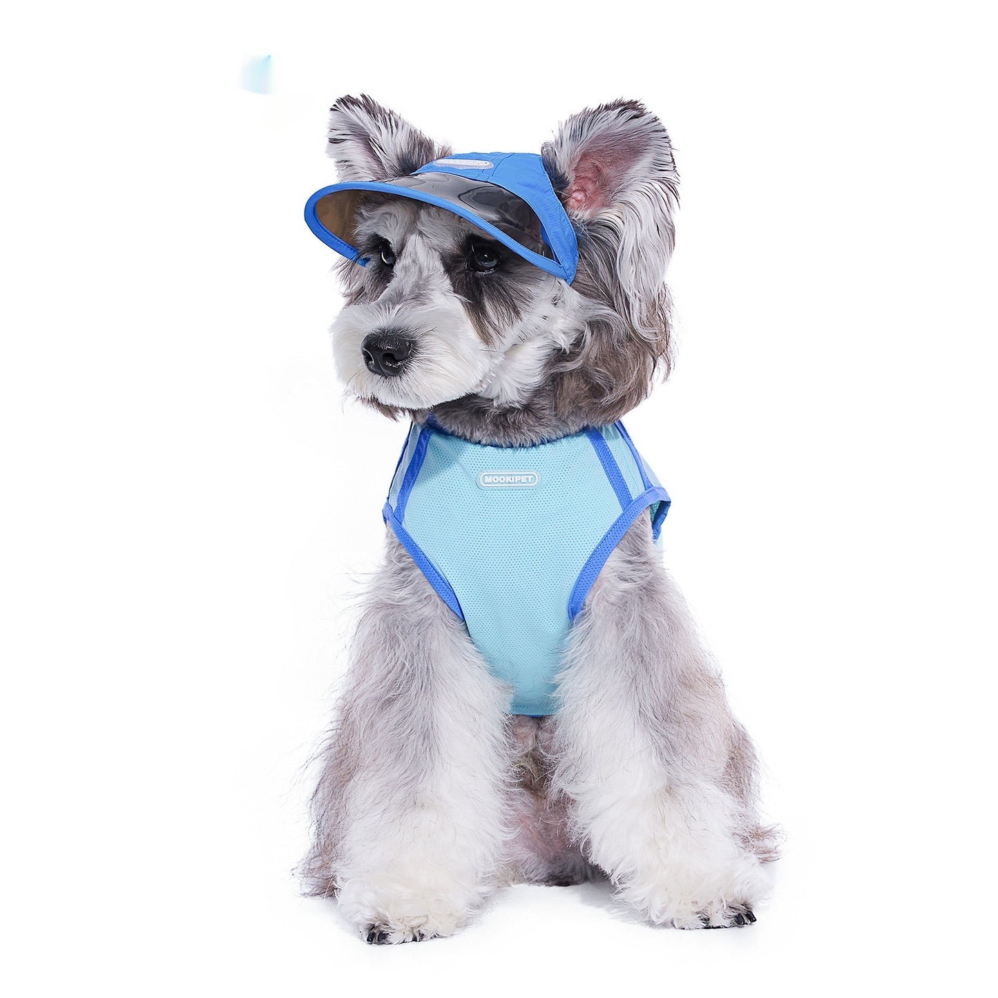 Autumn Nylon Dog Hat, Casual Small Dog Hat for Yorkies (S/M/L)