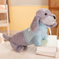 Cozy & Cute: Sweatshirt/Collar Sausage Dog Doll Plush Toy ($\mathbf{30}$–$\mathbf{55\text{cm}}$) for Youth.