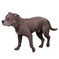 MR.Z Simulation Animal Dog Resin Ornaments, American-Style Stafford Terrier Collectible