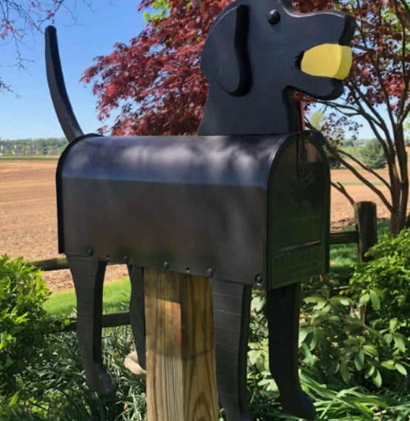 Farmhouse Flair: Modern Simplicity Metal Iron Chicken Mailbox Ornament.