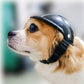 Pet Motorcycle Helmet, Cool ABS Protective Hat for Dogs & Cats