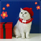 Wool Felt Flower Hat for Pets, Cute INS-Style Floral Cap for Cats & Dogs