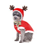 Christmas Poppy Dog Costume, Santa Elk, Christmas Tree & Deer Sweater | Winter Coral Velvet Pet Outfit