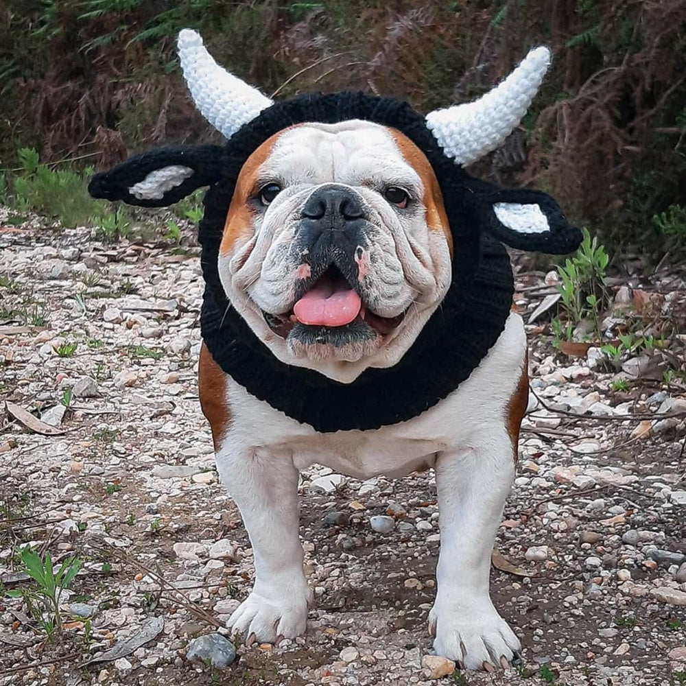 Windproof Halloween Knitted Dog Hat, INS Style Animal Headgear (S/M/L)