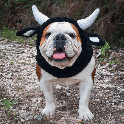 Windproof Halloween Knitted Dog Hat, INS Style Animal Headgear (S/M/L)