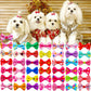 Pet Hairpin Bow Headflower, Cute Dog & Cat Headwear Ornaments (50 PCS Set)