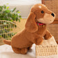 Cozy & Cute: Sweatshirt/Collar Sausage Dog Doll Plush Toy ($\mathbf{30}$–$\mathbf{55\text{cm}}$) for Youth.