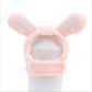 Cartoon Animal Pet Headgear, Cute Dog & Cat Hat for Cross-Dressing, Parties & Photoshoots