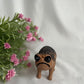 Chubby Charm: Cartoon African Rain Frog Toad Statue Resin Ornament.