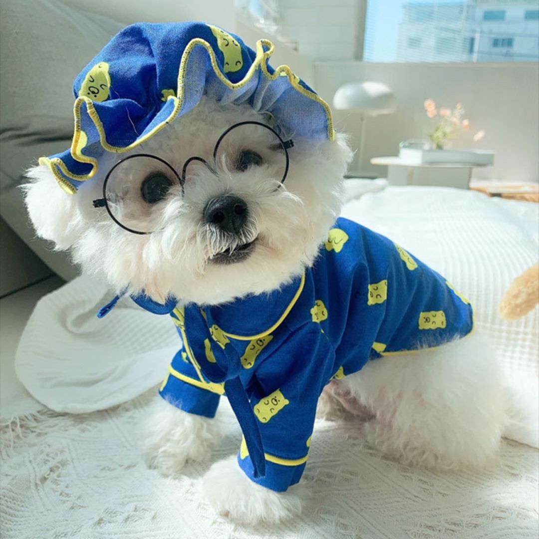 Korean Spring Candy Bear Pajama Set with Hat, Pure Cotton Pet Clothes for Dogs