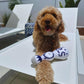 Cheers to Playtime: Funny Tequila "Boujee" Plush Dog Toy with Squeaker (All Dog Sizes).