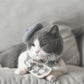 Knitted Beret & Plaid Scarf Set for Pets, Cute Belle-Style Accessories for Cats & Small Dogs