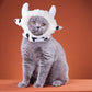 Cute Cartoon Pet Headgear, Sunflower, Animal & Character Hats for Cats and Small Dogs