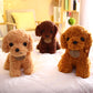 Teddy Dog Plush Toy, Super Soft Short Plush Stuffed Animal with PP Cotton Filling (Kids Safe)
