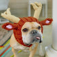 Windproof Halloween Knitted Dog Hat, INS Style Animal Headgear (S/M/L)