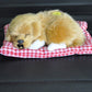 Quiet Comfort: Lovely Simulation Dog Plush Doll with Sound (Sleep Toy, $\mathbf{14\text{cm}}$).