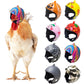 Helmet Chicken Pet Supplies – Protective Chicken Hat for Poultry & Small Pets