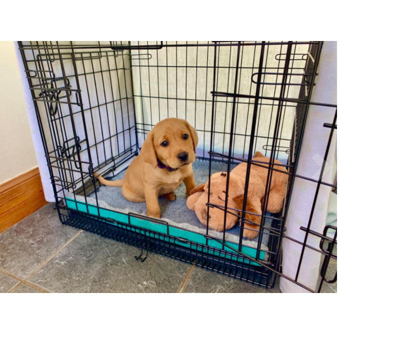 Heartbeat Plush Dog Toy, Interactive Comforting Sleep Companion for Pets (Built-In Heartbeat)