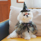 Halloween Pet Spider Hat & Shawl Set, Mesh Skull-Pattern Costume for Dogs & Cats