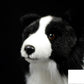 Fashion Simulation Plush Cute Border Collie Doll, 28cm Realistic Puppy Plush Toy