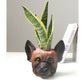 Personalized Resin Dog Flower Pot, Durable Shepherd Dog Planter for Home & Office Decor
